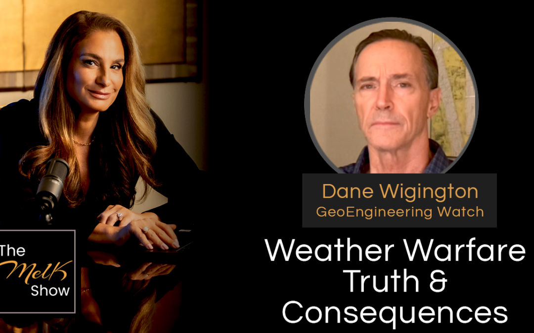 Mel K & Dane Wigington | Weather Warfare Truth & Consequences | 10-17-24