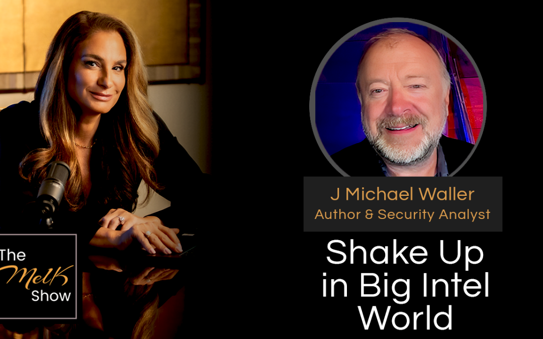 Mel K & J Michael Waller | Shake Up in Big Intel World | 12-12-24