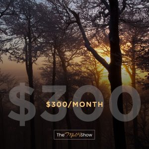 Monthly Donation - $300